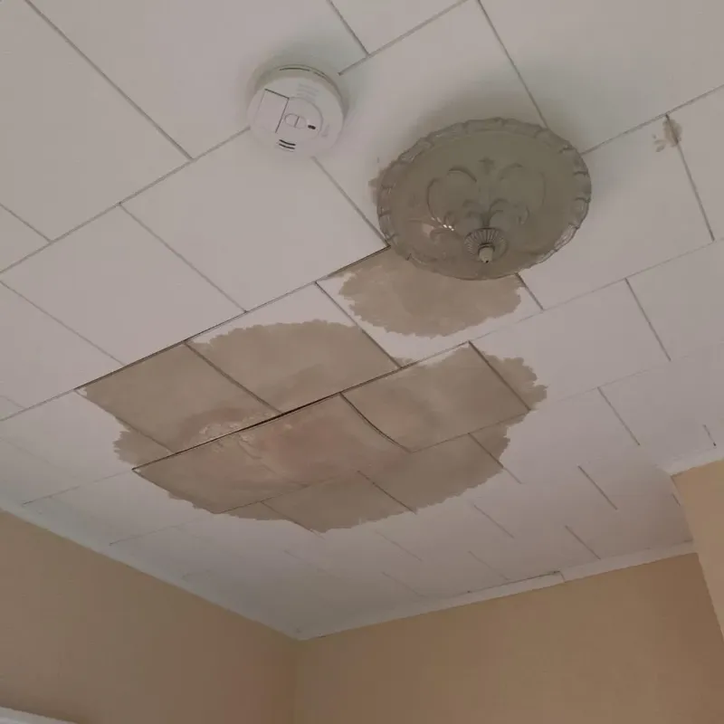 Ceiling Water Damage Repair in Barton, WI
