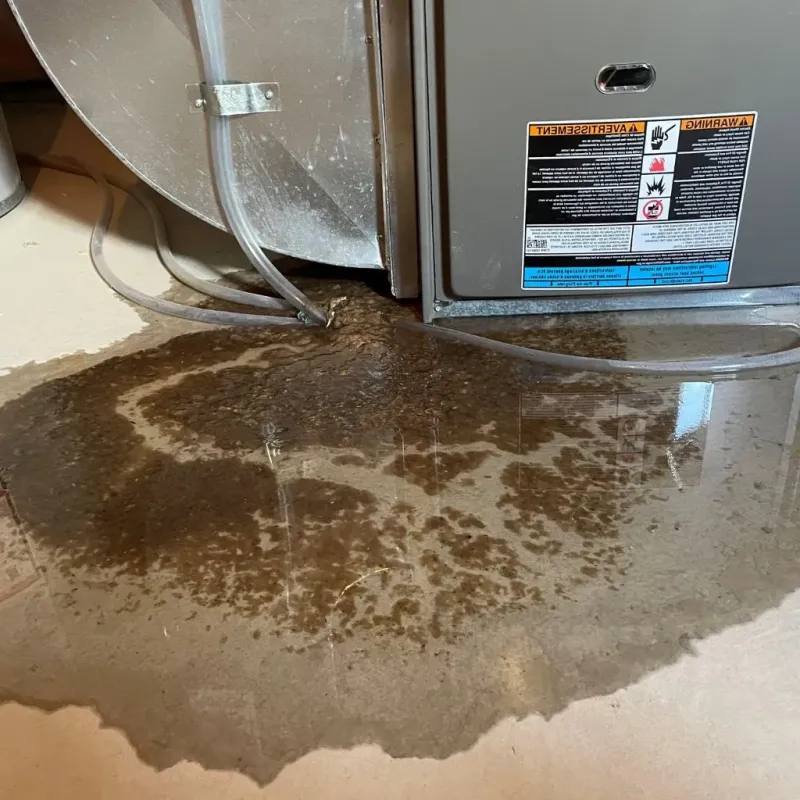 Pipe Burst and Leak Restoration in Barton, WI