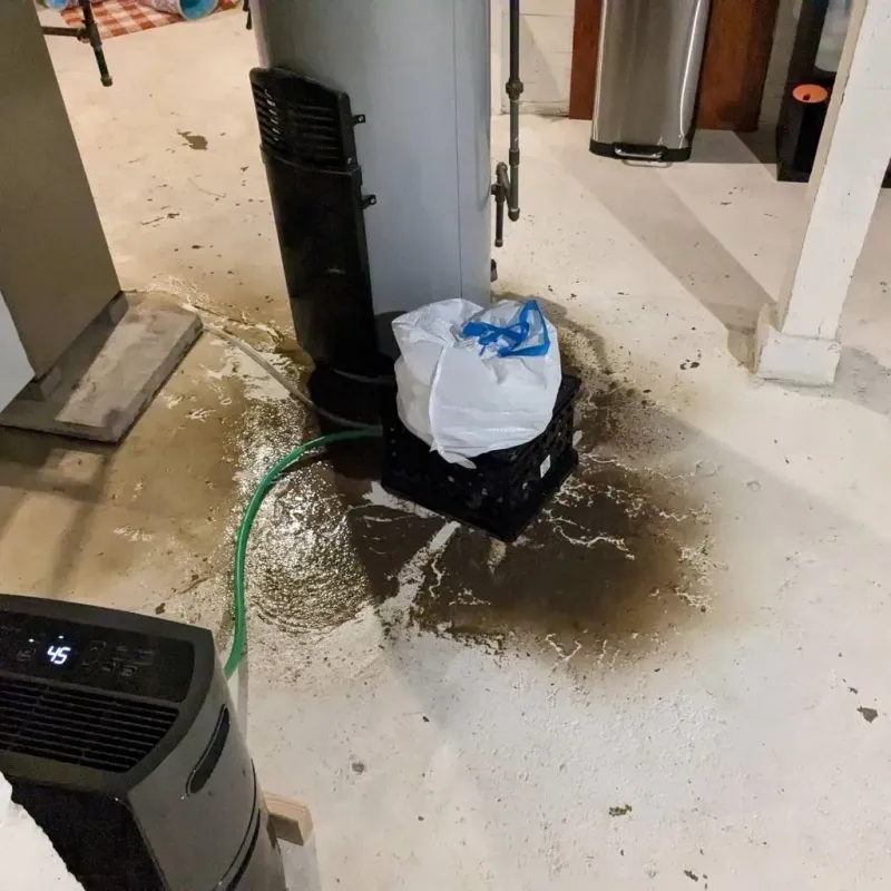 Sewage Backup Cleanup Service in Barton, WI